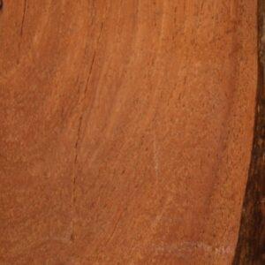 Iron Wood, FW13118