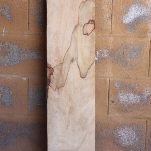 Mango Wood Spalted, FW13140