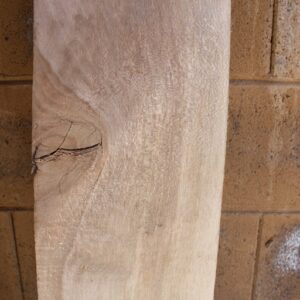 Sycamore Lumber, FW13187