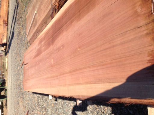 Coastal Redwood Slab, FW1735