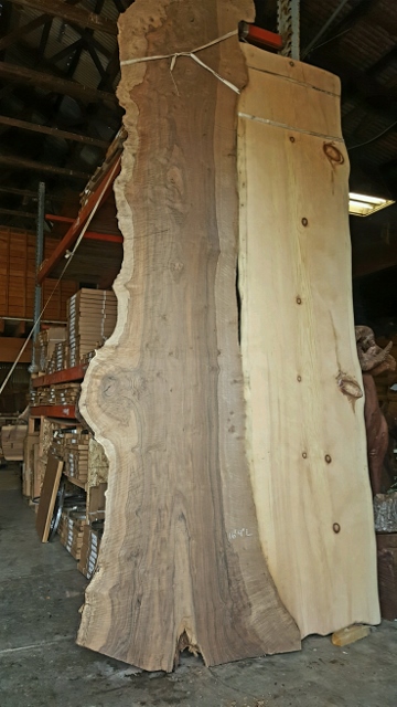view of entire slab over 16ft tall