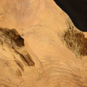Redwood Burl Salvaged, JM3