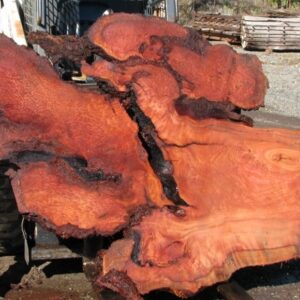 Redwood Burl Slab, Curly, FW1105