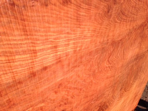 Redwood Slab, Curly, FW1145