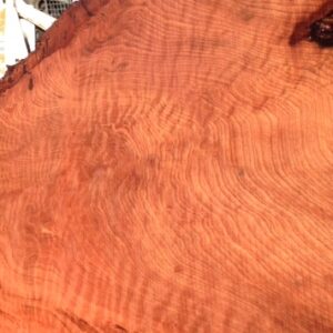 Redwood Slab, Curly, FW1146