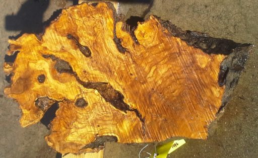 Olive Wood Slab, KC1496