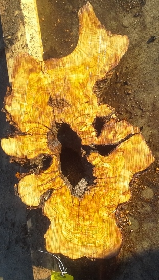 Olive Wood Slab, KC1218
