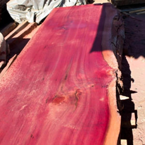 PURPLE Giant Sequoia Windfallen Redwood Slab, FW082415-03