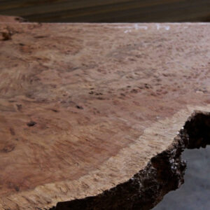 Redwood Burl Slab, FW022512