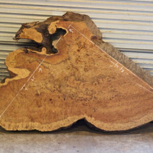 Redwood Burl Slab, FW022512