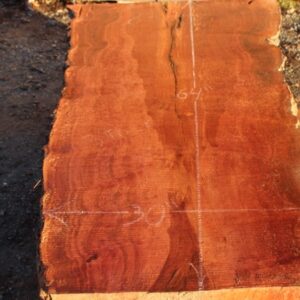 Sycamore Table Slab, DP915-01