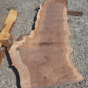 bastogne wood slab