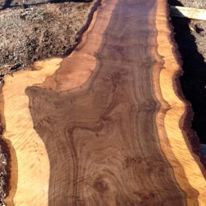 bastogne wood slab