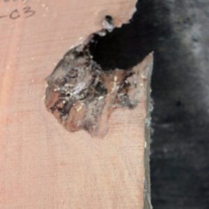 acacia-wood-close-up-hole