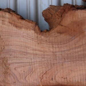 acacia-slab-close up fw011617-14
