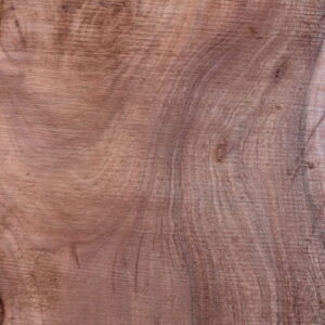 acacia slab close up fw011617-15