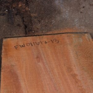 acacia slab fw011617-13