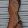 acacia wood close up fw011617-10