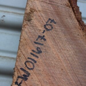 acacia wood fw011617-07