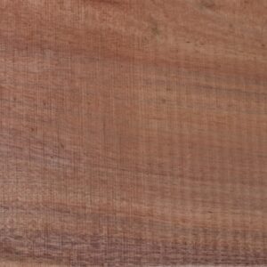 acacia wood-slab-close-fw01167-08