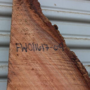 acacia wood slab fw011617-09