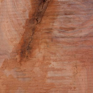 acacia-wood-slab-fw011617-10