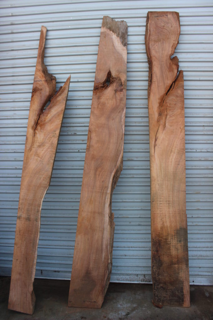 Acacia Wood Slab FW011617-15 Far West Forest