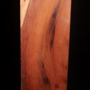 giant-sequoia-redwood fw111014-41