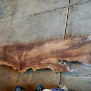 walnut thick slab showing rustic length