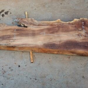 Walnut thick slab end view showing skinniest point
