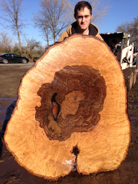blue oak burl round with blondes on the outside and darker chocolate colors on the inside