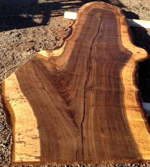 bastogne walnut slab, salvaged with white sap around outside edges, non-uniform in shape