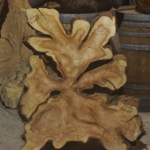 juniper wood