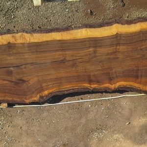 urban lumber salvaged bastogne walnut slab with beautiful color variation