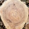 walnut brul round varies from creams to red browns to dark chocolate brown circles. Round piece perfect coffee table size
