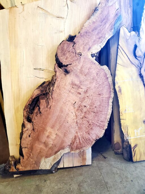 funky shaped piece with lots of burl