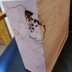 Giant Sequoia Redwood turning block