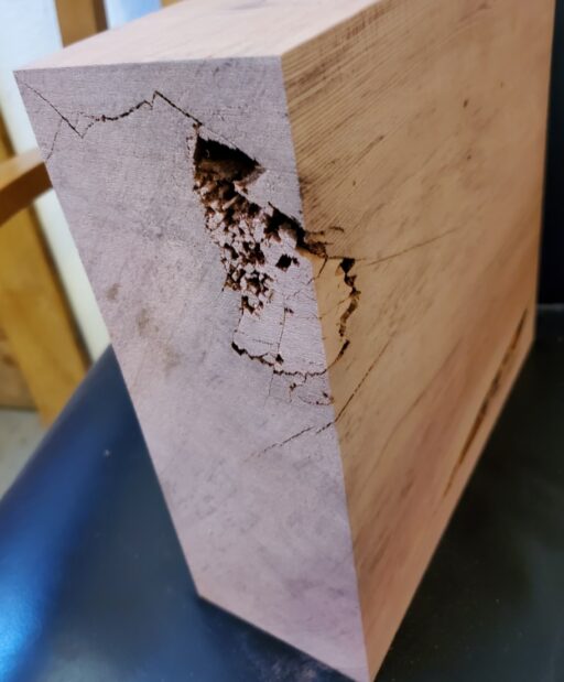 Giant Sequoia Redwood turning block