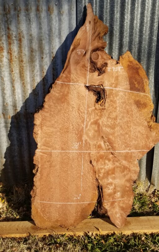 Curly Redwood slab FW12820-3