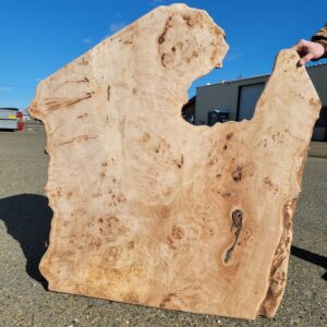 cottonwood burl slab image, live edge with bark inlcusions and non-uniform shape