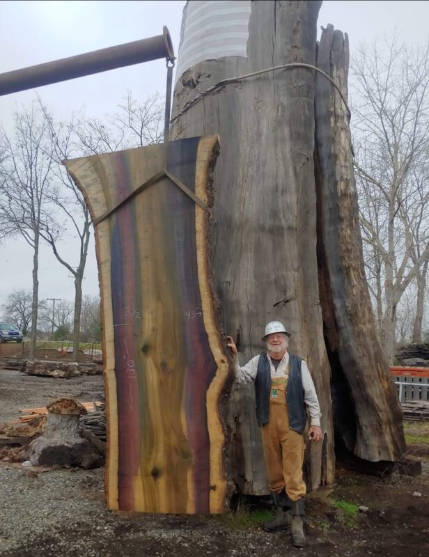 man standing next to a rainbow colored urban wood tulip in slab in front of a giant sequoia redwood log that is standing on end. Cloudy sky in background